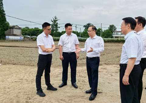 胡云赴眉山调研耕地；；；；；；だ煤透弑曜寂┨锝ㄉ韫ぷ