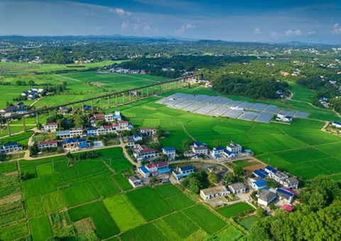 湖南：靶向发力盘活存量土地资产<br>为206家机关企事业单位定制处置方案，，，，，盘活土地2.6万亩