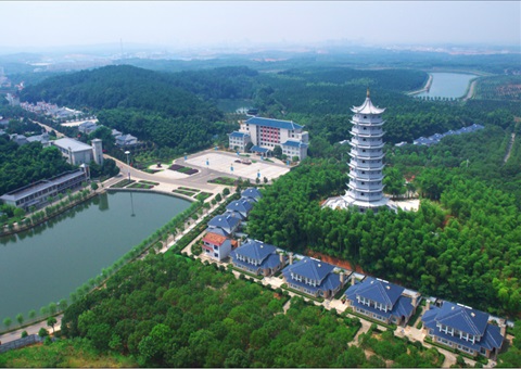 湖北：用好“一张图” ，，，，，智治有支撑
